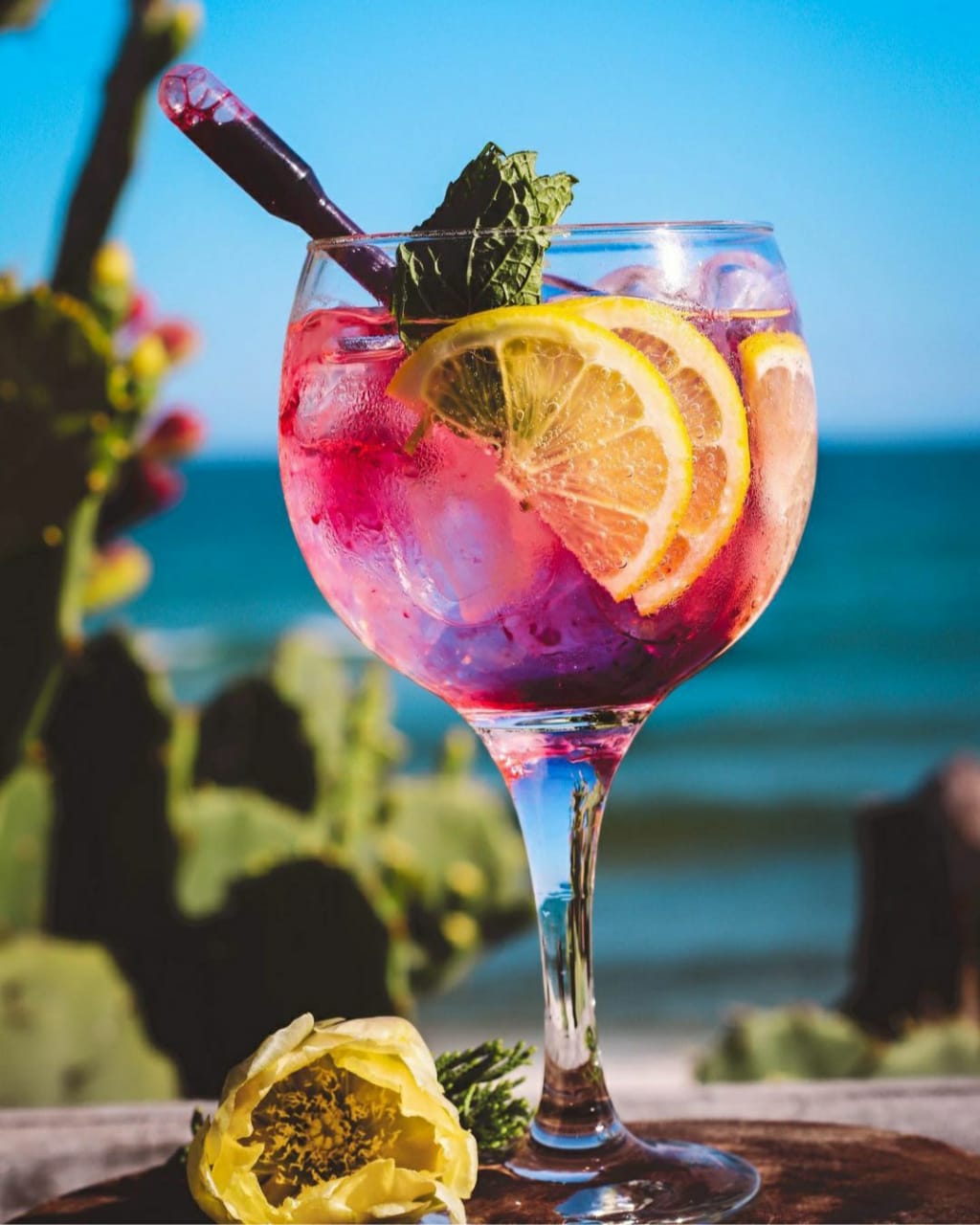 Melhores bares para drinks no Rio de Janeiro Blog Viagem Gourmet